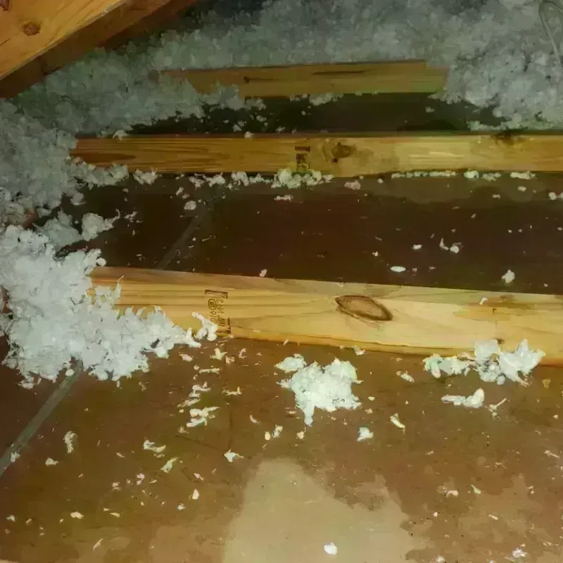 Attic Water Damage in Llano, TX